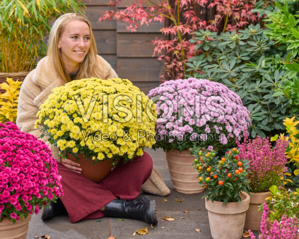 Lady with garden mums, Chrysanthemum Branpetit