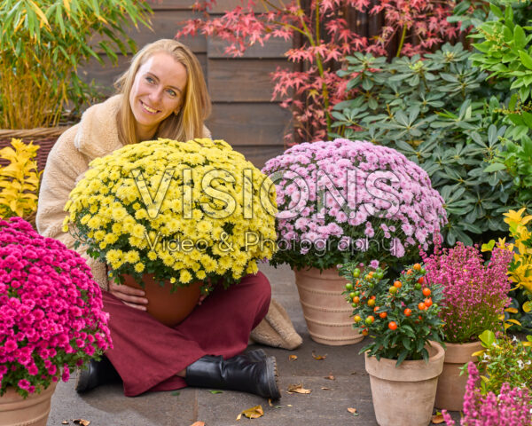 Dame met bolchrysanten, Chrysanthemum Branpetit Dame met bolchrysanten, Chrysanthemum Branpetit