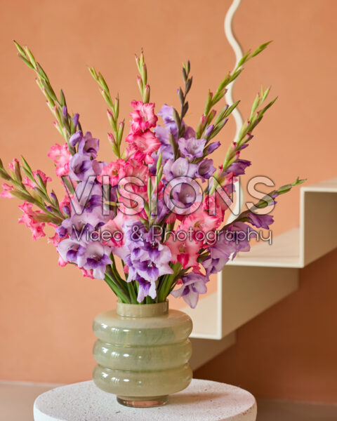 Gladdies® combination in vase