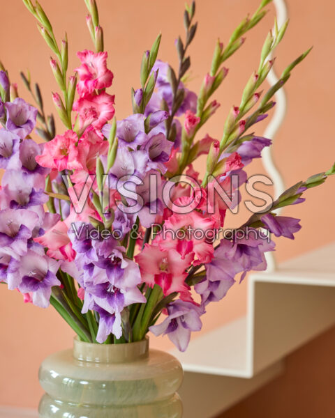 Gladdies® combinatie op vase