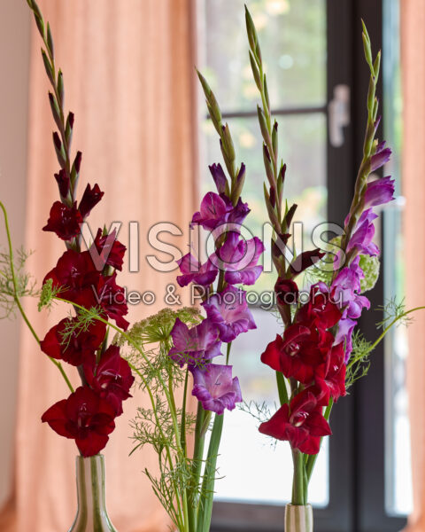 Gladdies® combination in vase