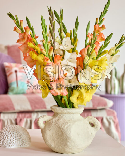 Mixed Gladdies® in vase