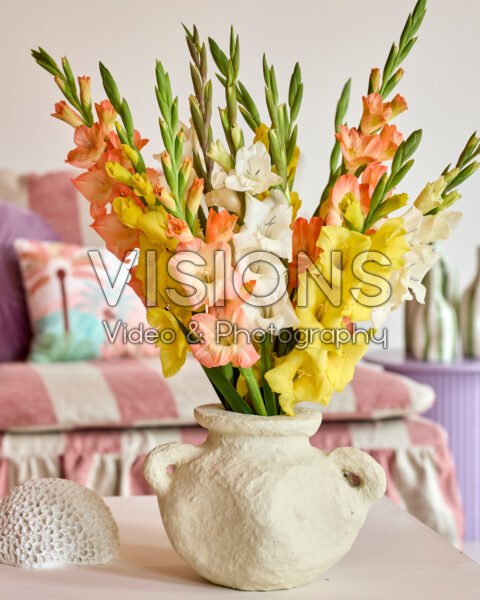 Mixed Gladdies® in vase