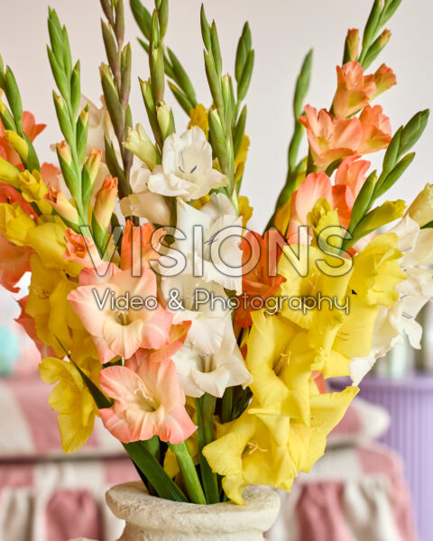 Mixed Gladdies® in vase