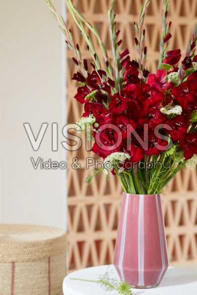 Gladdies® in vase, Gladiolus Tom