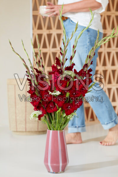 Gladdies® in vase, Gladiolus Tom