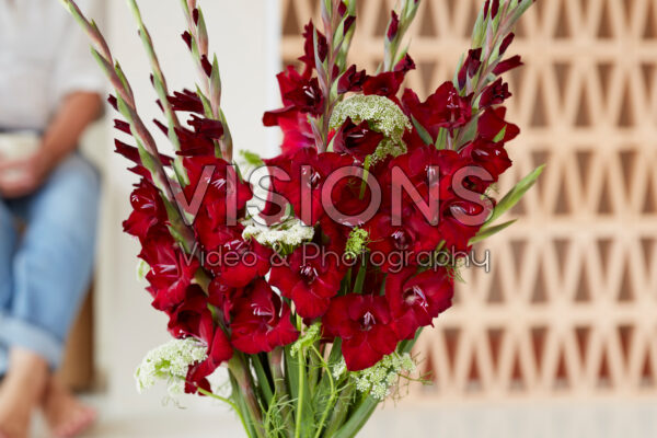 Gladdies® in vase, Gladiolus Tom