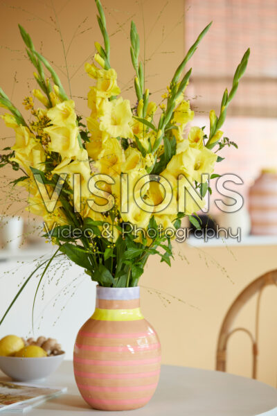 Gladdies® in vase, Gladiolus Luna