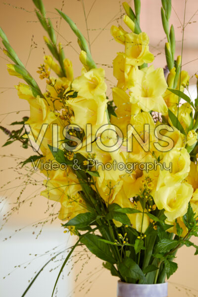 Gladdies® in vase, Gladiolus Luna