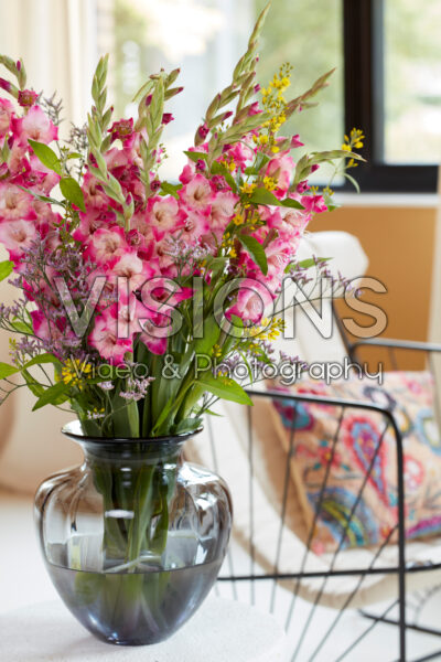 Gladdies® in vase, Gladiolus Lizzy