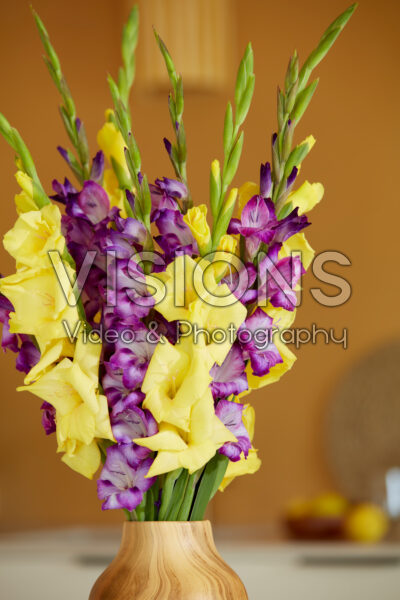 Gladdies® combination in vase