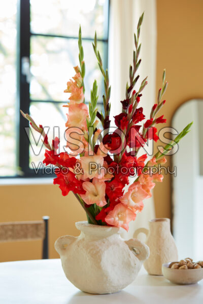 Gladdies® combination in vase