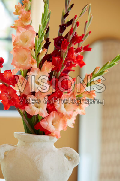 Gladdies® combination in vase