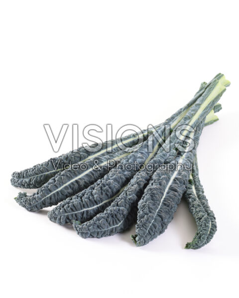 Lacinato kale, Brassica oleracea var. palmifolia Lacinato kale, Brassica oleracea var. palmifolia