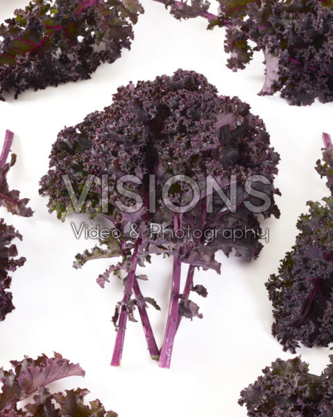 Paarse boerenkool, Brassica oleracea Paarse boerenkool, Brassica oleracea