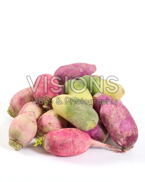 Radish mix, Raphanus sativus Radish mix, Raphanus sativus Radish mix, Raphanus sativus Radish mix, Raphanus sativus