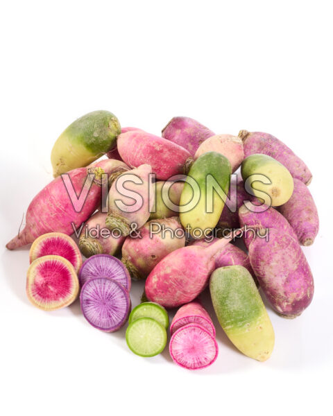Radish mix, Raphanus sativus Radish mix, Raphanus sativus Radish mix, Raphanus sativus Radish mix, Raphanus sativus