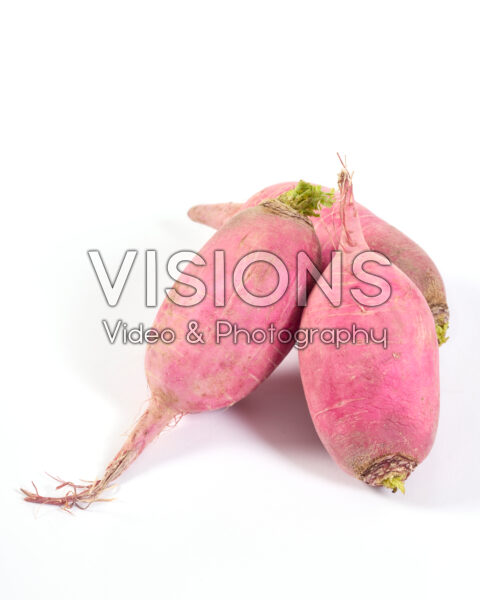 Radish, Raphanus sativus Pink Meat Radish, Raphanus sativus Pink Meat