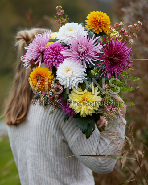 Lady holding mixed bouquet of chrysanthemums