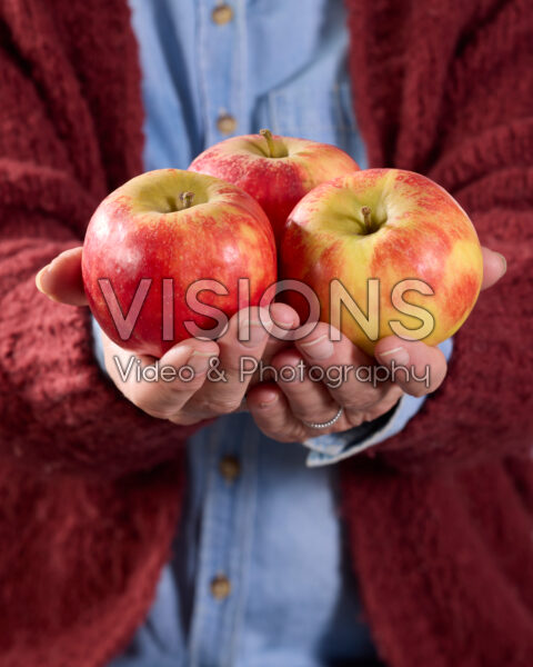 Appels, Malus domestica Elstar Appels, Malus domestica Elstar