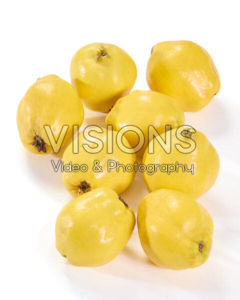 Quinces, Cydonia oblonga Quinces, Cydonia oblonga
