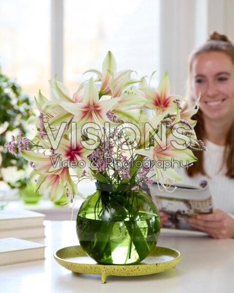 Hippeastrum Dance Valley