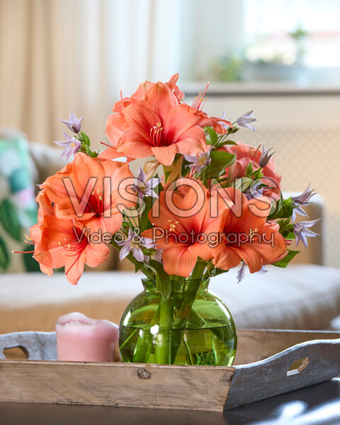 Hippeastrum Bouquet