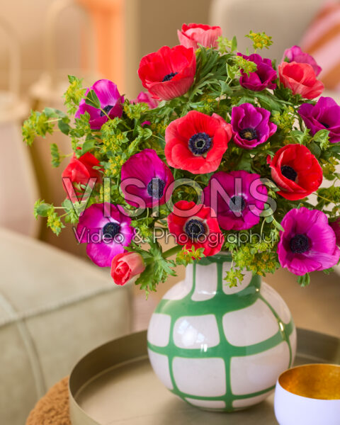 Anemone coronaria boeket Anemone coronaria boeket