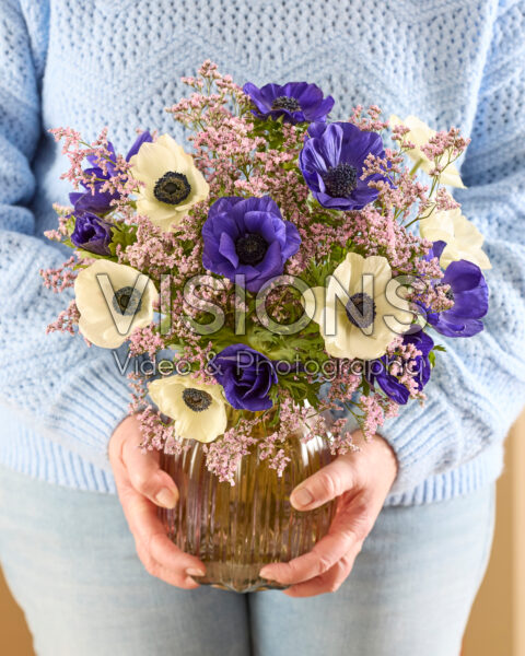 Anemone coronaria boeket