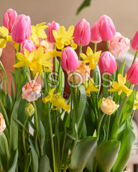 Gemengde voorjaarsbloemen Gemengde voorjaarsbloemen