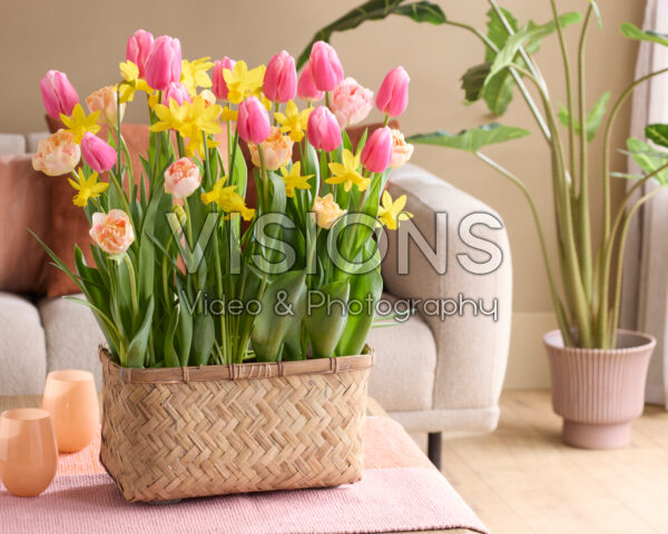 Potted bulb container Potted bulb container