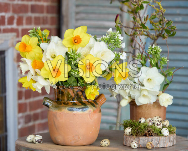 Boeket Narcissus La Delicatesse, Kingsday Boeket Narcissus La Delicatesse, Kingsday