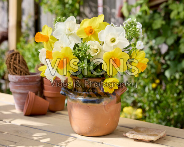 Boeket Narcissus La Delicatesse, Kingsday Boeket Narcissus La Delicatesse, Kingsday