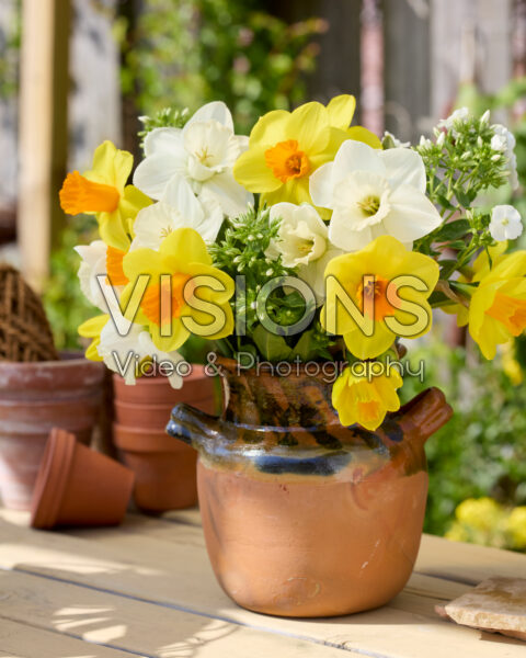 Boeket Narcissus La Delicatesse, Kingsday Boeket Narcissus La Delicatesse, Kingsday
