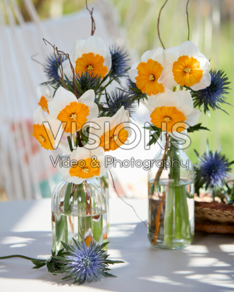 Narcissus Jacqueline in vases Narcissus Jacqueline in vases