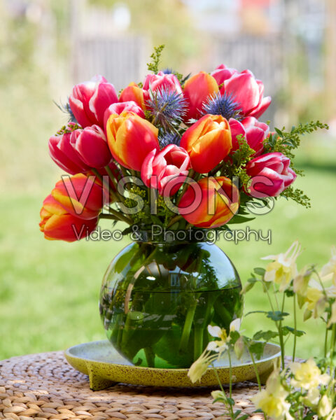 Boeket Tulipa Aomori, Milatz Boeket Tulipa Aomori, Milatz