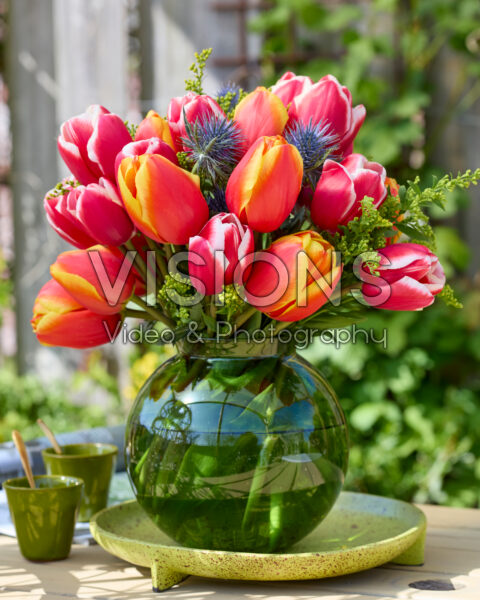 Bouquet Tulipa Aomori, Milatz Bouquet Tulipa Aomori, Milatz