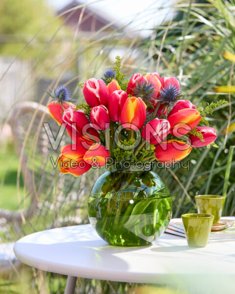 Boeket Tulipa Aomori, Milatz Boeket Tulipa Aomori, Milatz
