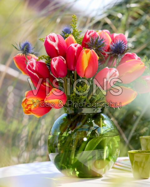Boeket Tulipa Aomori, Milatz Boeket Tulipa Aomori, Milatz