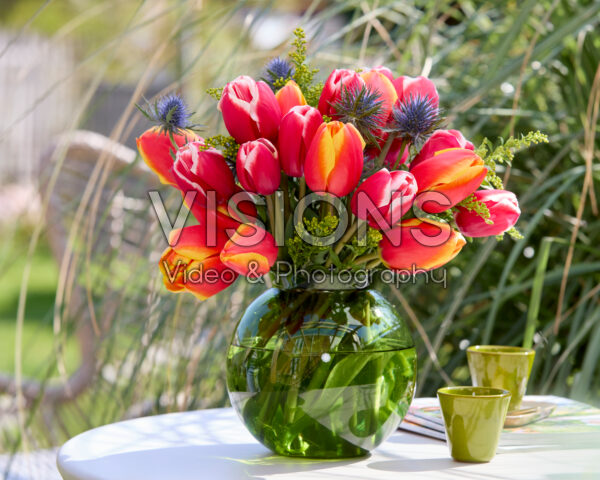 Boeket Tulipa Aomori, Milatz Boeket Tulipa Aomori, Milatz