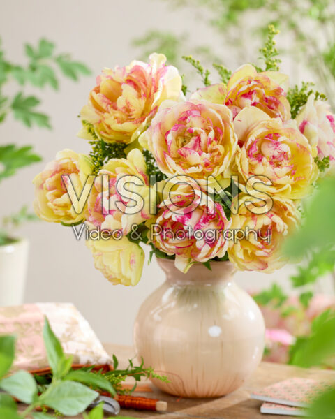 Bouquet Tulipa Double Shake Bouquet Tulipa Double Shake