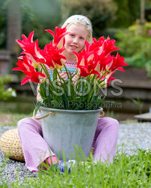 Girl with Tulipa Love Story Girl with Tulipa Love Story