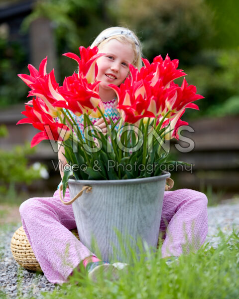 Girl with Tulipa Love Story Girl with Tulipa Love Story