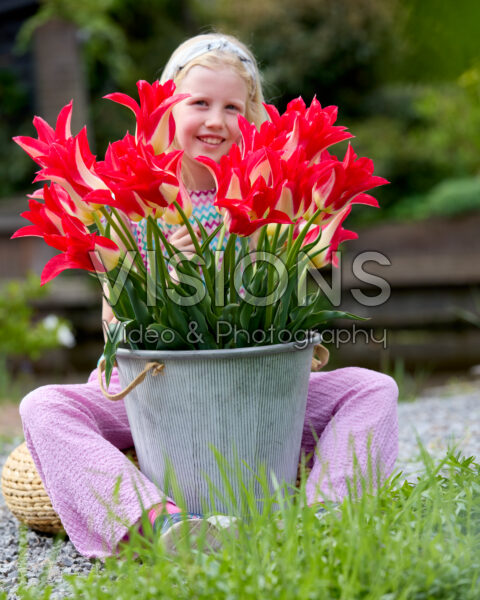 Girl with Tulipa Love Story