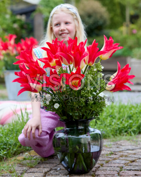 Girl with vase of Love Story tulips Girl with vase of Love Story tulips