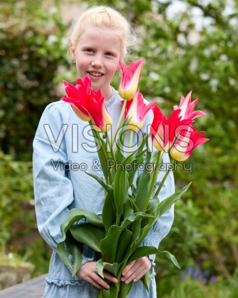 Girl holding Love Story tulips Girl holding Love Story tulips