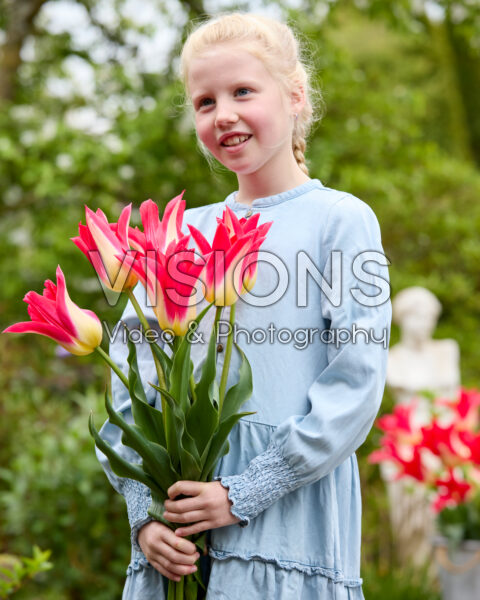 Meisje met Love Story tulpen Meisje met Love Story tulpen