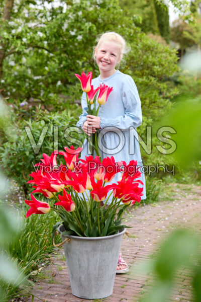 Meisje met Tulipa Love Story Meisje met Tulipa Love Story