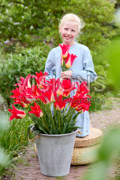 Girl with Tulipa Love Story Girl with Tulipa Love Story
