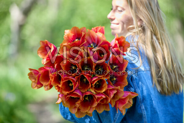 Dame met boeket Tulipa Louvre Dame met boeket Tulipa Louvre